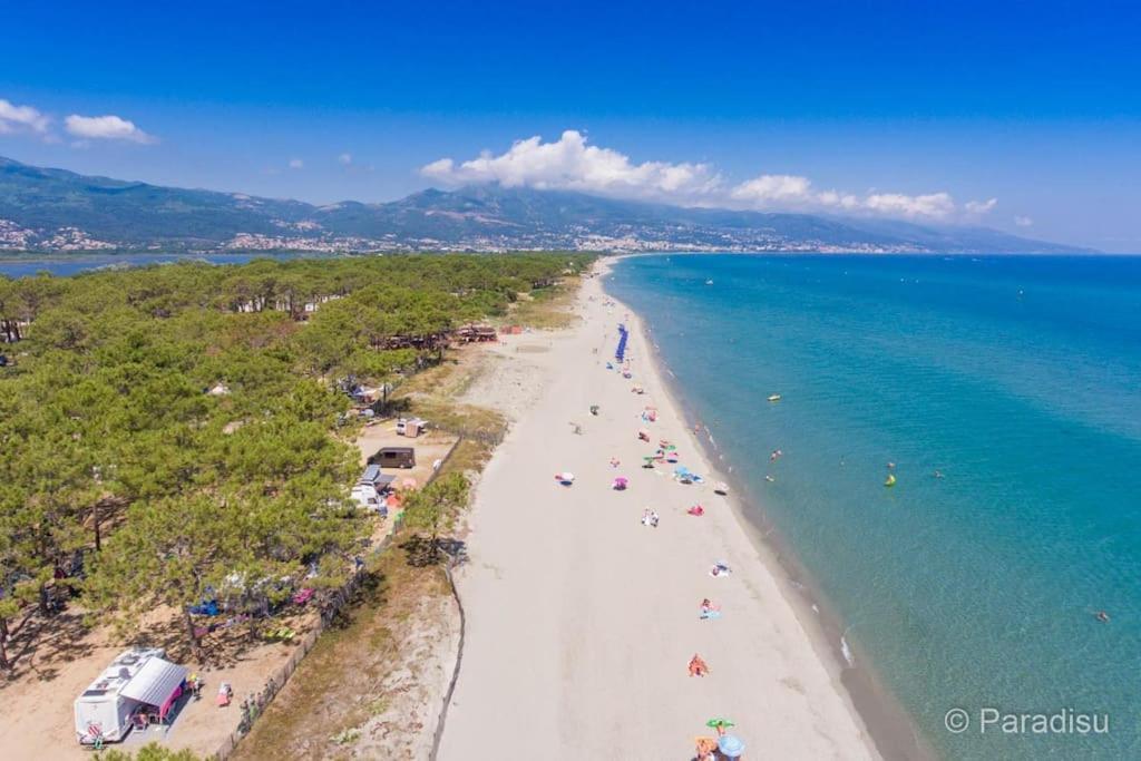 5 Min Des Plages - Appt 2 Chambres A Casa Bella Lucciana  Exteriör bild